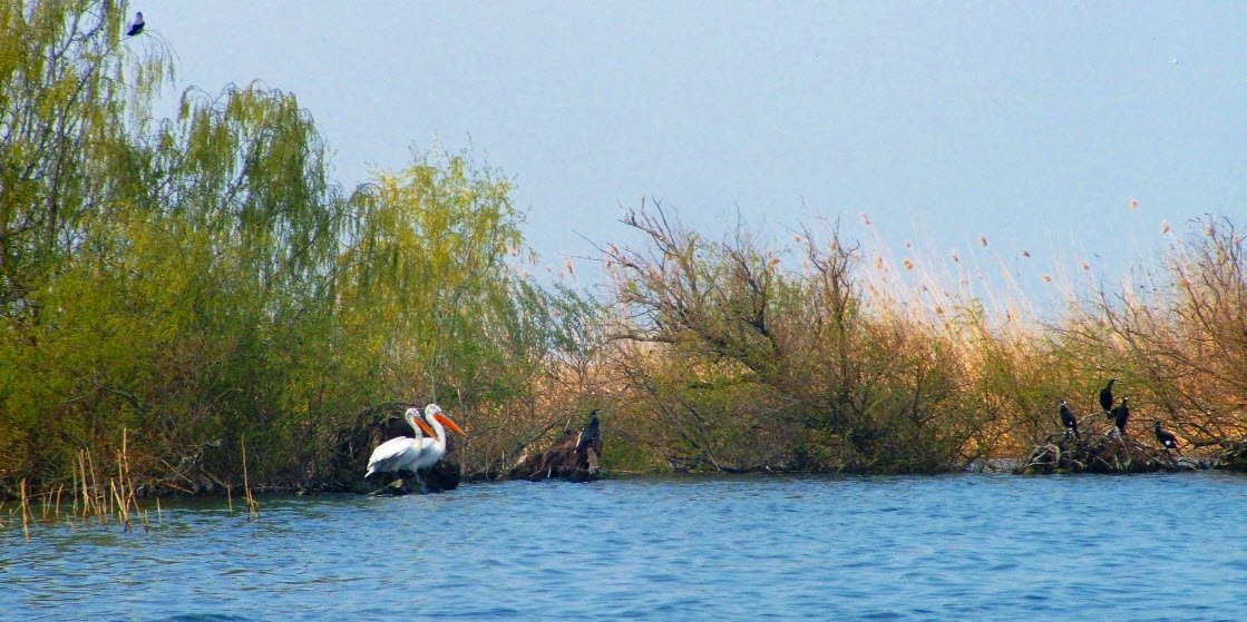 Srebarna Nature Reserve, Silistra Province, Bulgaria